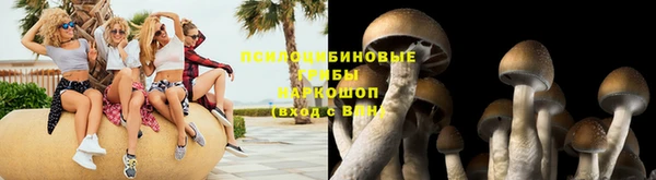 герыч Каменногорск