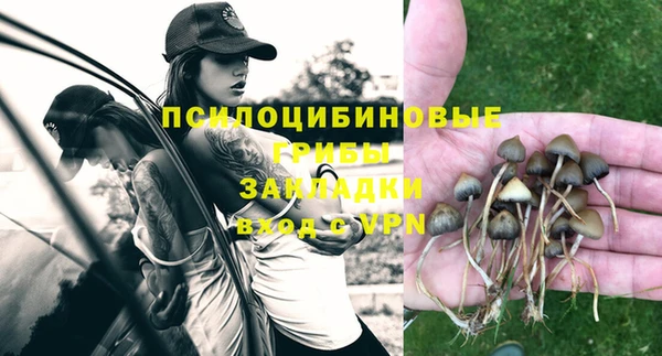 марки lsd Каменка