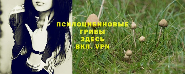 прущая мука Инта