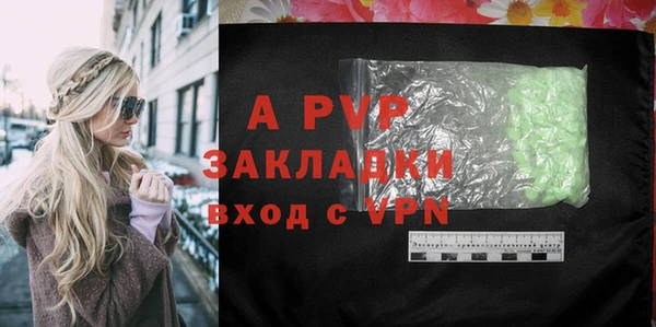 спиды Инсар