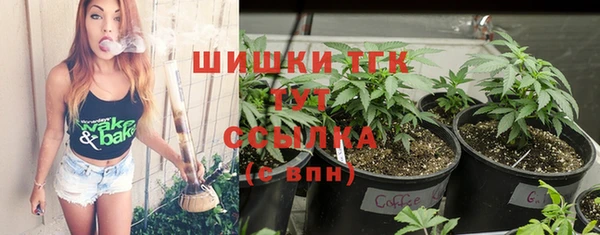 спиды Инсар