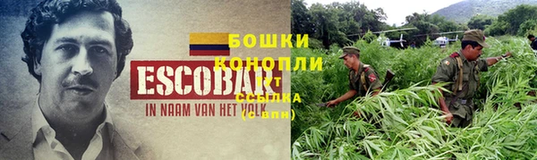 прущая мука Инта